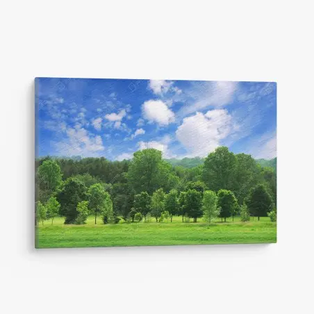 Canvas print summer green forest under blue sky • Wallissimo®