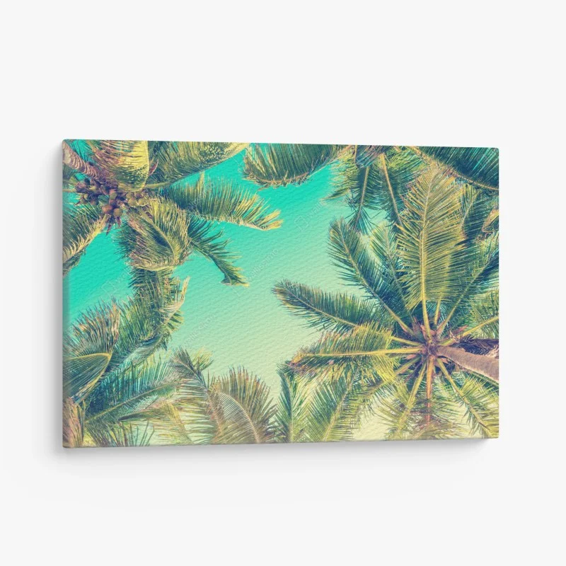 Canvas print vintage turquoise palm canopy