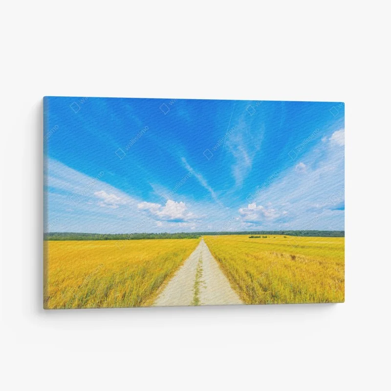 Canvas print golden meadow under a wide blue sky