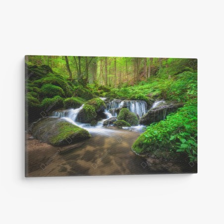 Canvas print tranquil mossy forest waterfall • Wallissimo®