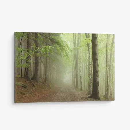 Canvas print misty forest path • Wallissimo®