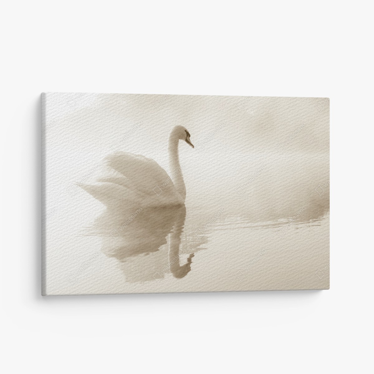 Canvas print elegant swan in misty reflection • Wallissimo®