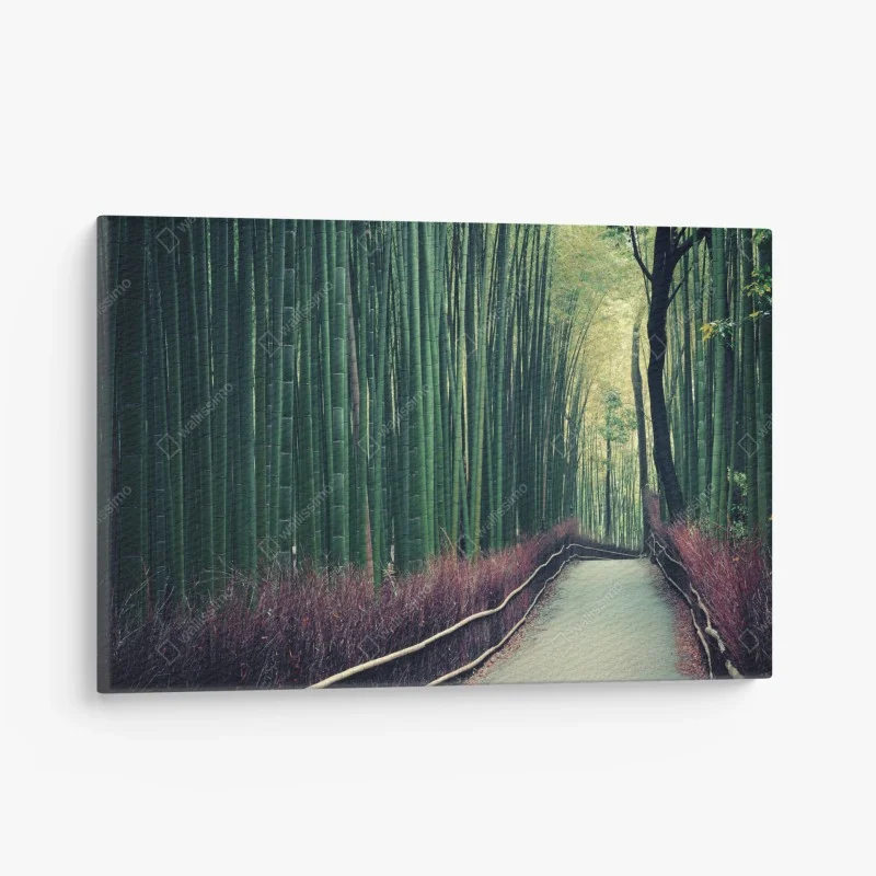 Canvas print serene bamboo grove pathway in Arashiyama