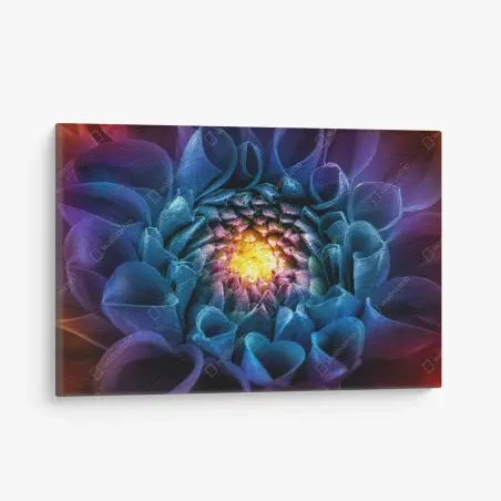 Canvas print vibrant blue chrysanthemum close-up • Wallissimo®