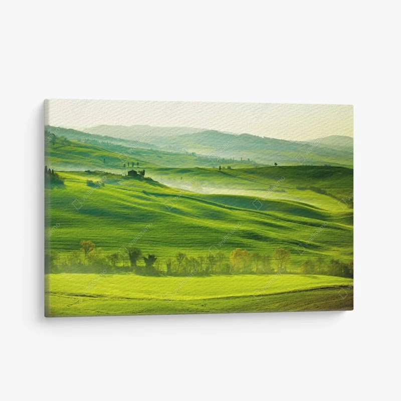 Canvas print sunlit rolling hills of Tuscany