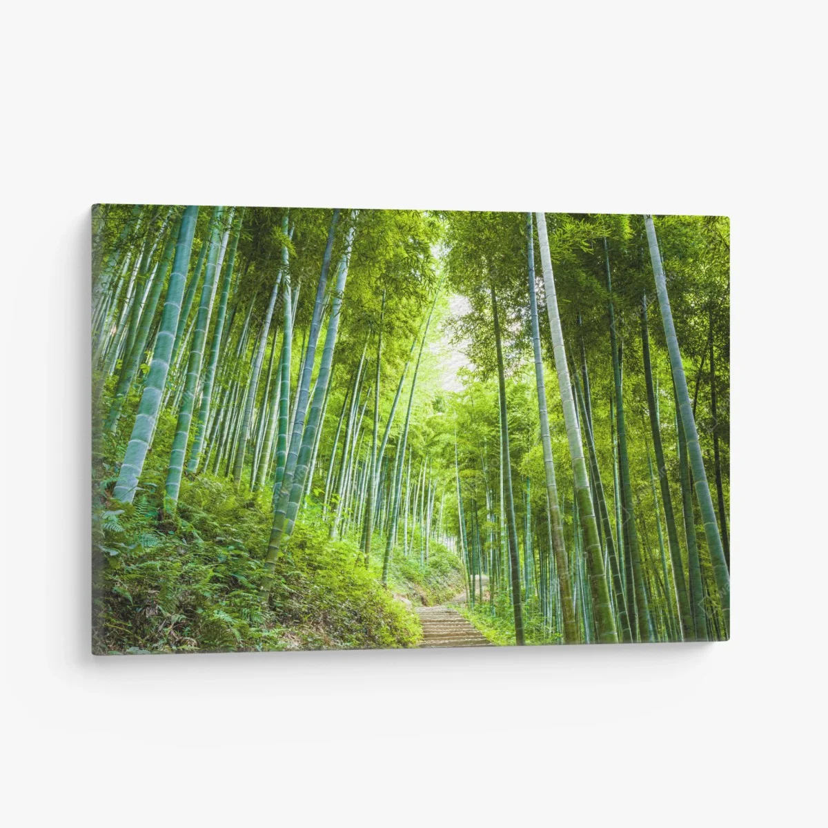Canvas print serene bamboo forest pathway ⁕ Wallissimo® Canvas print serene bamboo forest pathway ⁕ Wallissimo®