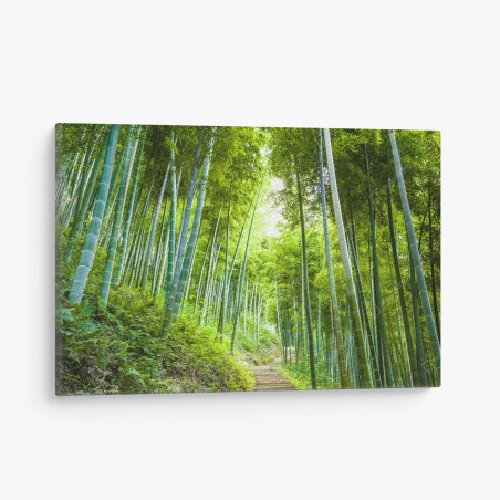 Canvas print serene bamboo forest pathway • Wallissimo®