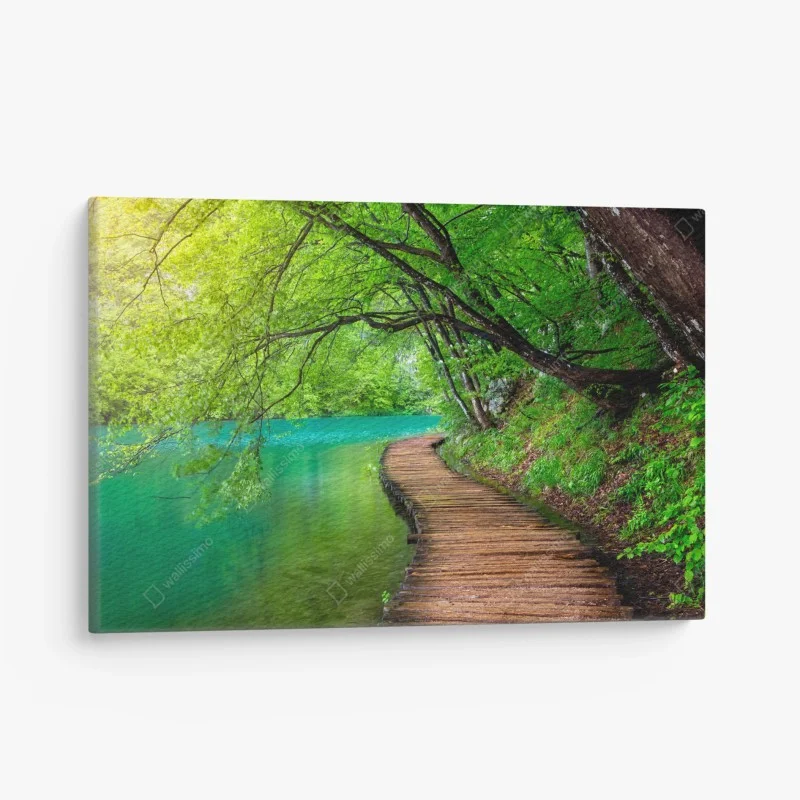 Canvas print serene lakeside wooden walkway through green forest