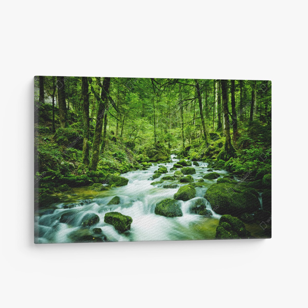 Canvas print mossy forest stream • Wallissimo®