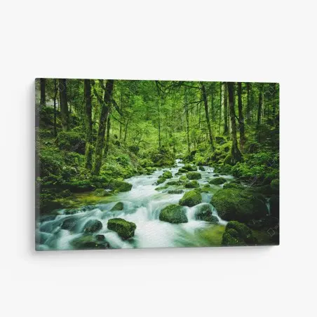 Canvas print mossy forest stream • Wallissimo®