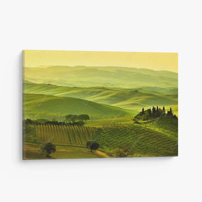 Canvas print Tuscany rolling hills landscape