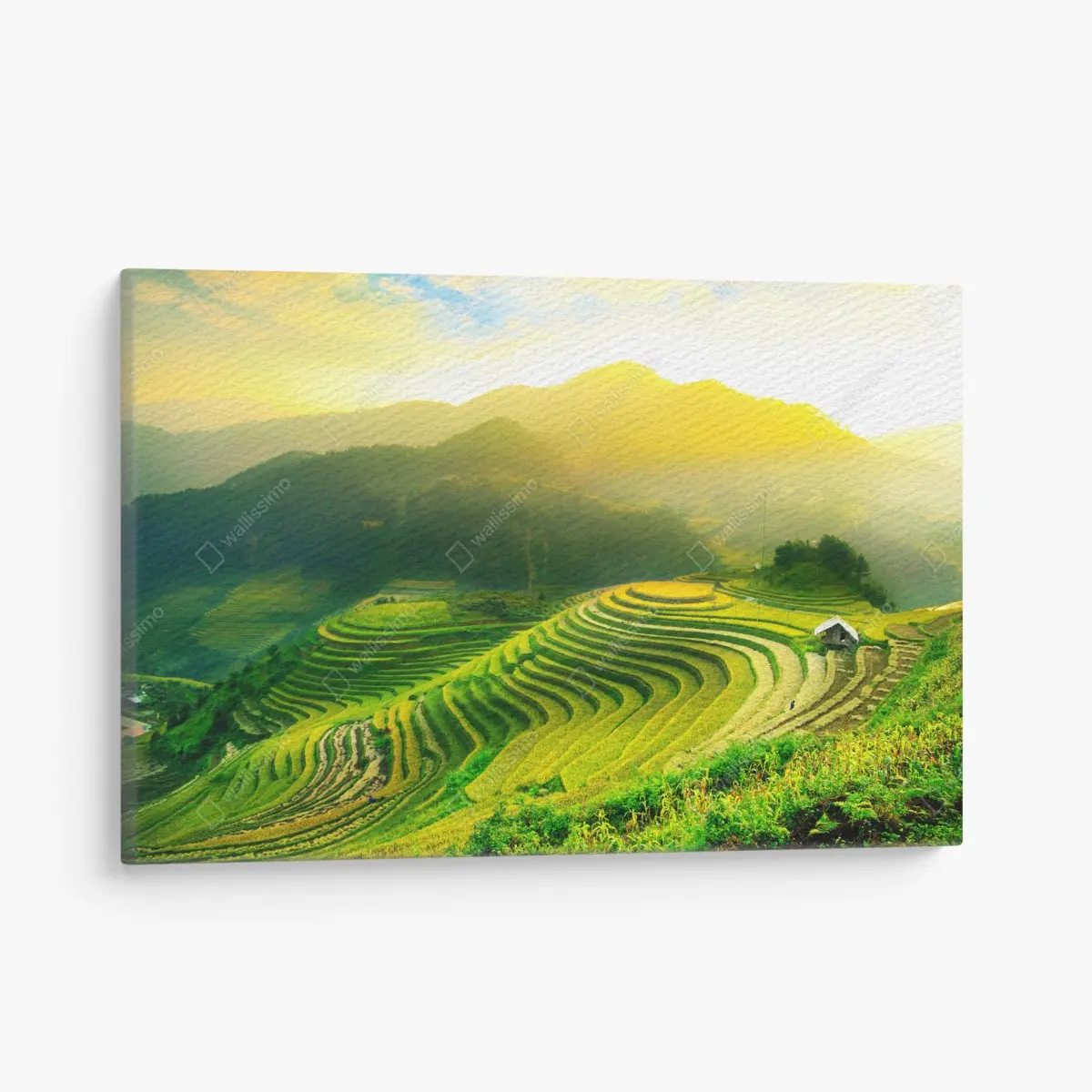 Canvas print golden terraced rice fields at sunrise ⁕ Wallissimo® Canvas print golden terraced rice fields at sunrise ⁕ Wallissimo®