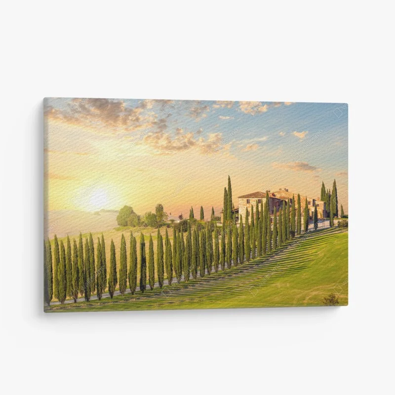 Canvas print Tuscany sunset cypress avenue