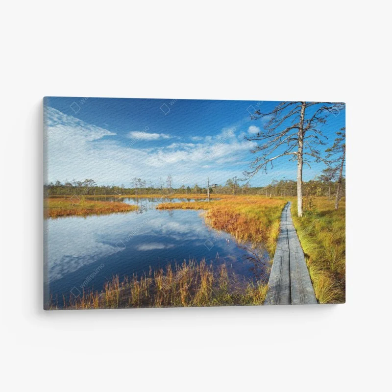 Canvas print autumn boardwalk over a tranquil bog