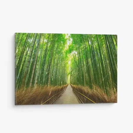 Canvas print tranquil bamboo path in Kyoto • Wallissimo®