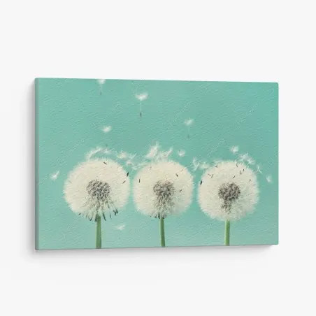 Canvas print three dandelion puffballs on turquoise background • Wallissimo®
