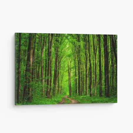 Canvas print lush green forest pathway • Wallissimo®