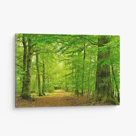 Canvas print serene green forest pathway • Wallissimo®