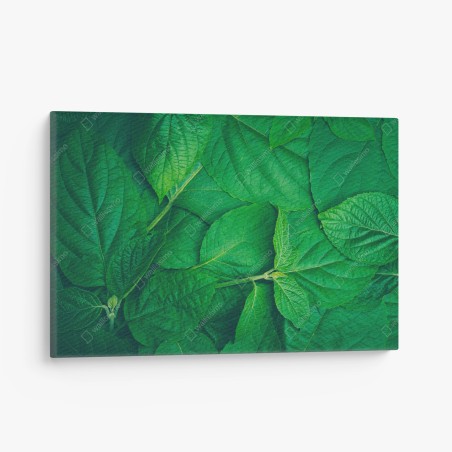 Canvas print lush green leaves texture • Wallissimo®