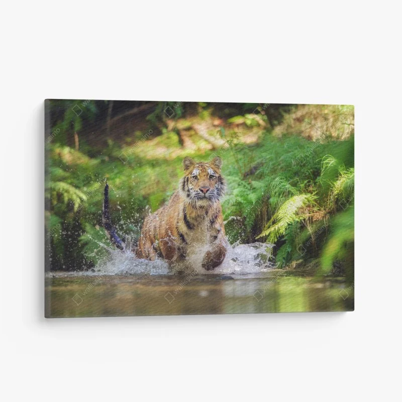 Canvas print majestic tiger in forest stream