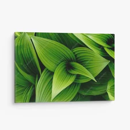 Canvas print lush green leaves pattern • Wallissimo®