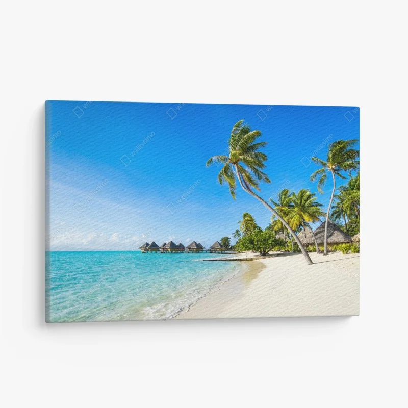 Canvas print tropical turquoise beach with palm trees