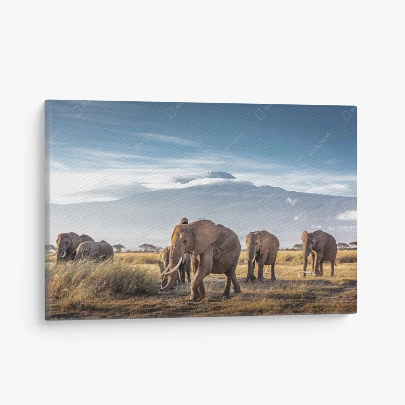 Canvas print elephant herd in front of Mount Kilimanjaro