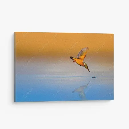 Canvas print kingfisher diving over reflective water • Wallissimo®