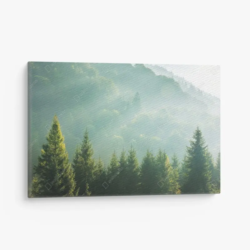Canvas print • Wallissimo®