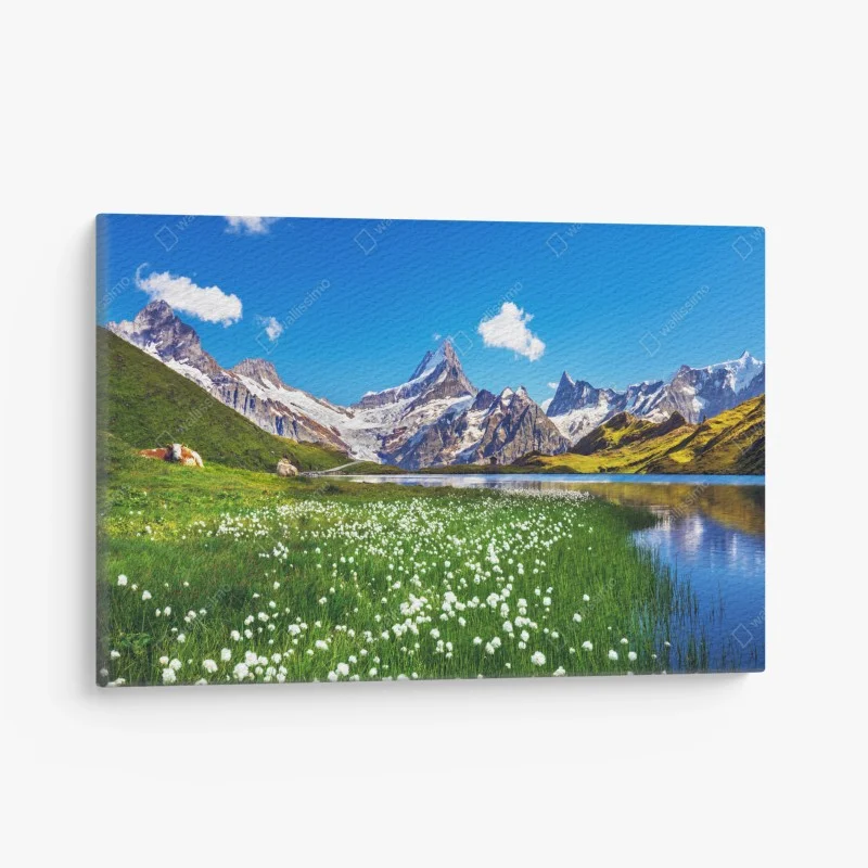 Canvas print alpine mountain lake with wildflower meadow