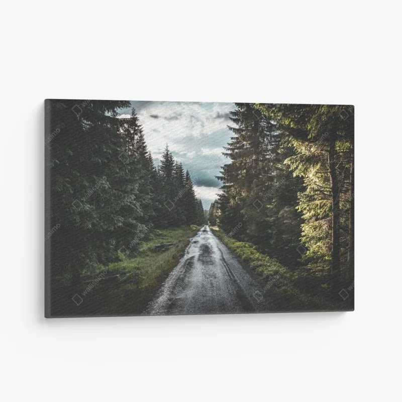 Canvas print forest road through misty pines