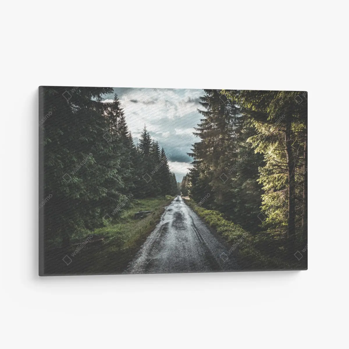 Canvas print forest road through misty pines • Wallissimo®
