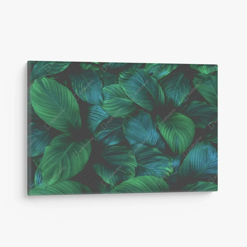 Canvas print lush tropical leaves art