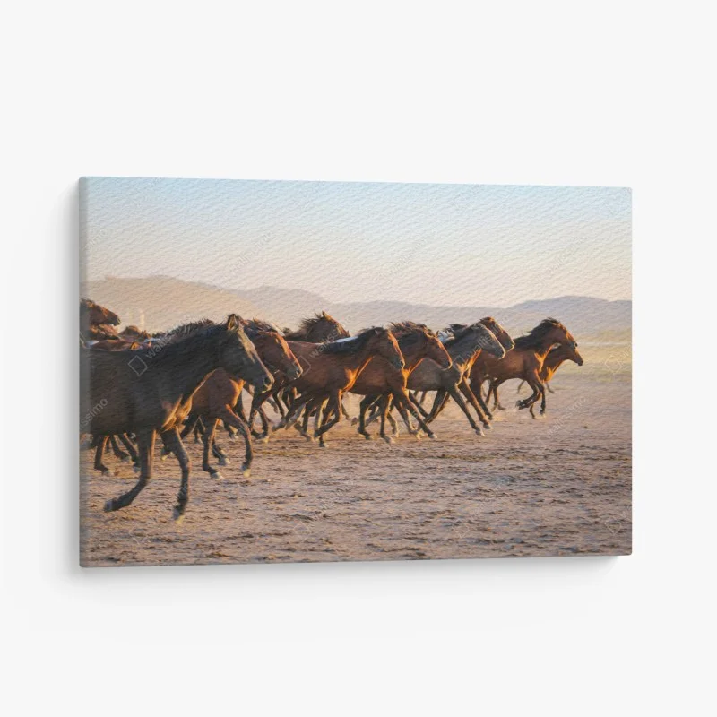 Canvas print yilki horses running in Kayseri field