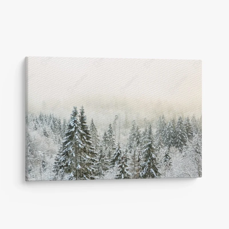 Canvas print winter forest in soft fog