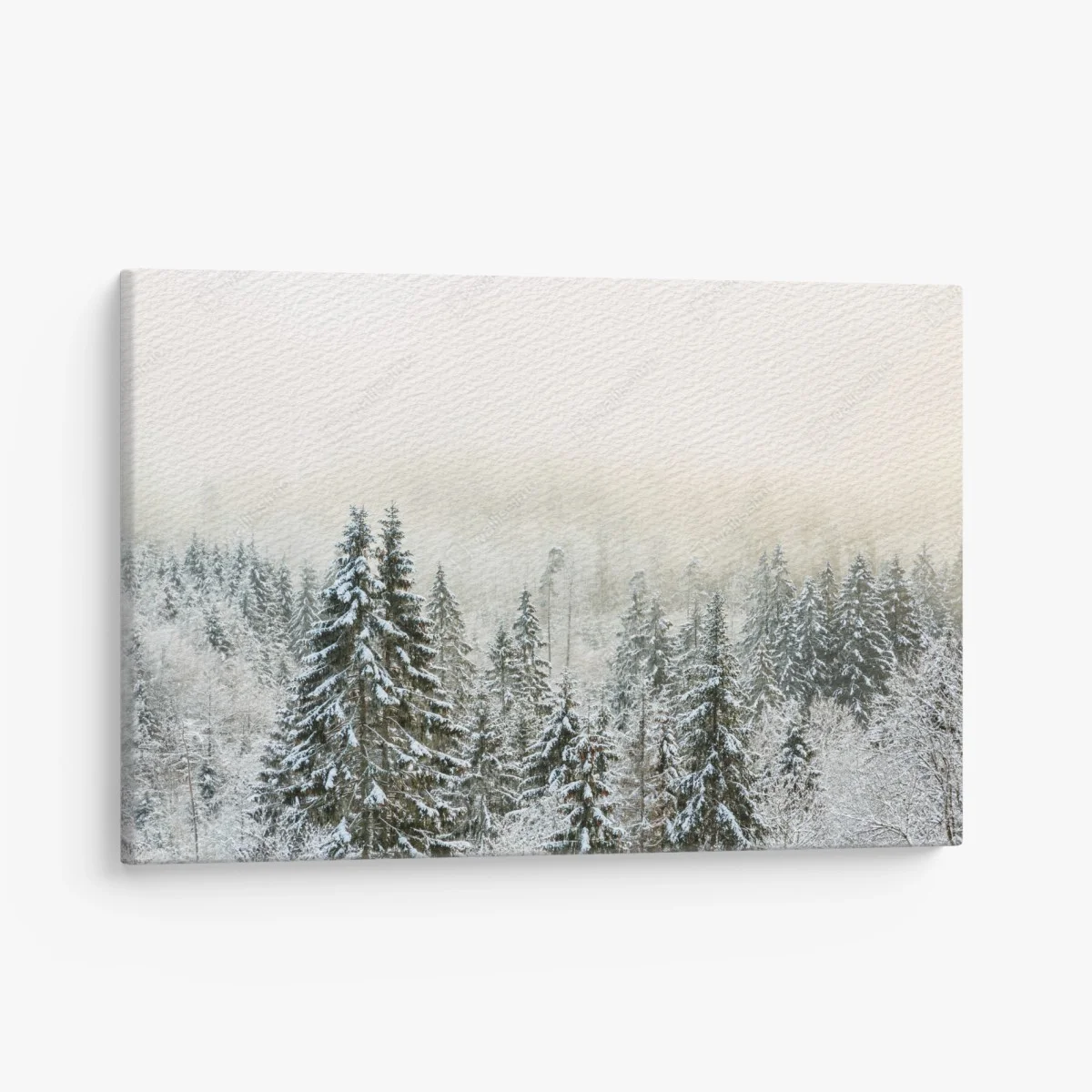 Canvas print winter forest in soft fog ⁕ Wallissimo® Canvas print winter forest in soft fog ⁕ Wallissimo®