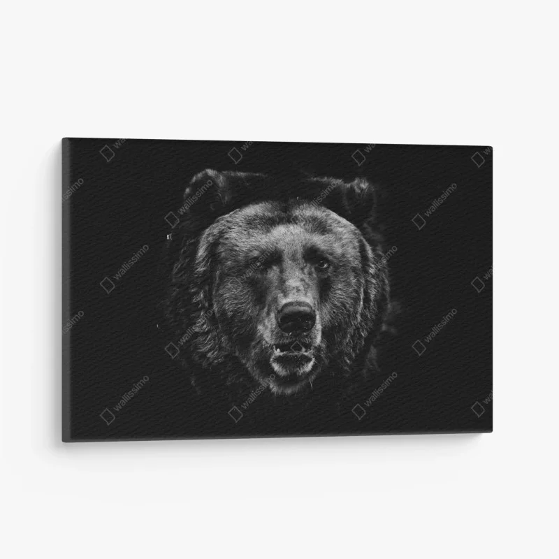 Canvas print moody grizzly bear portrait