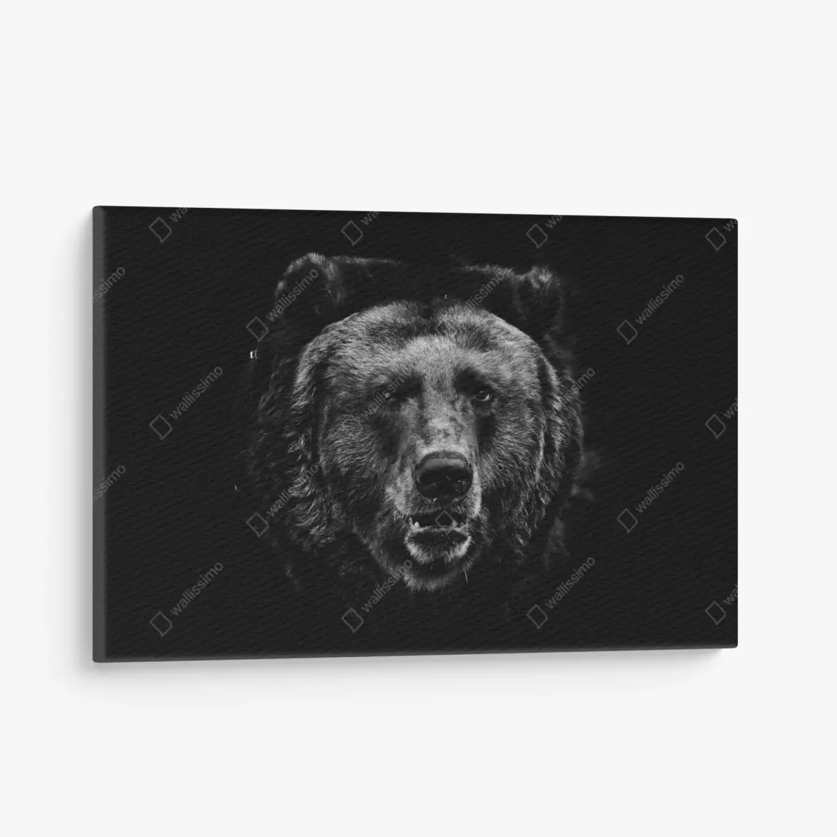 Canvas print moody grizzly bear portrait • Wallissimo®