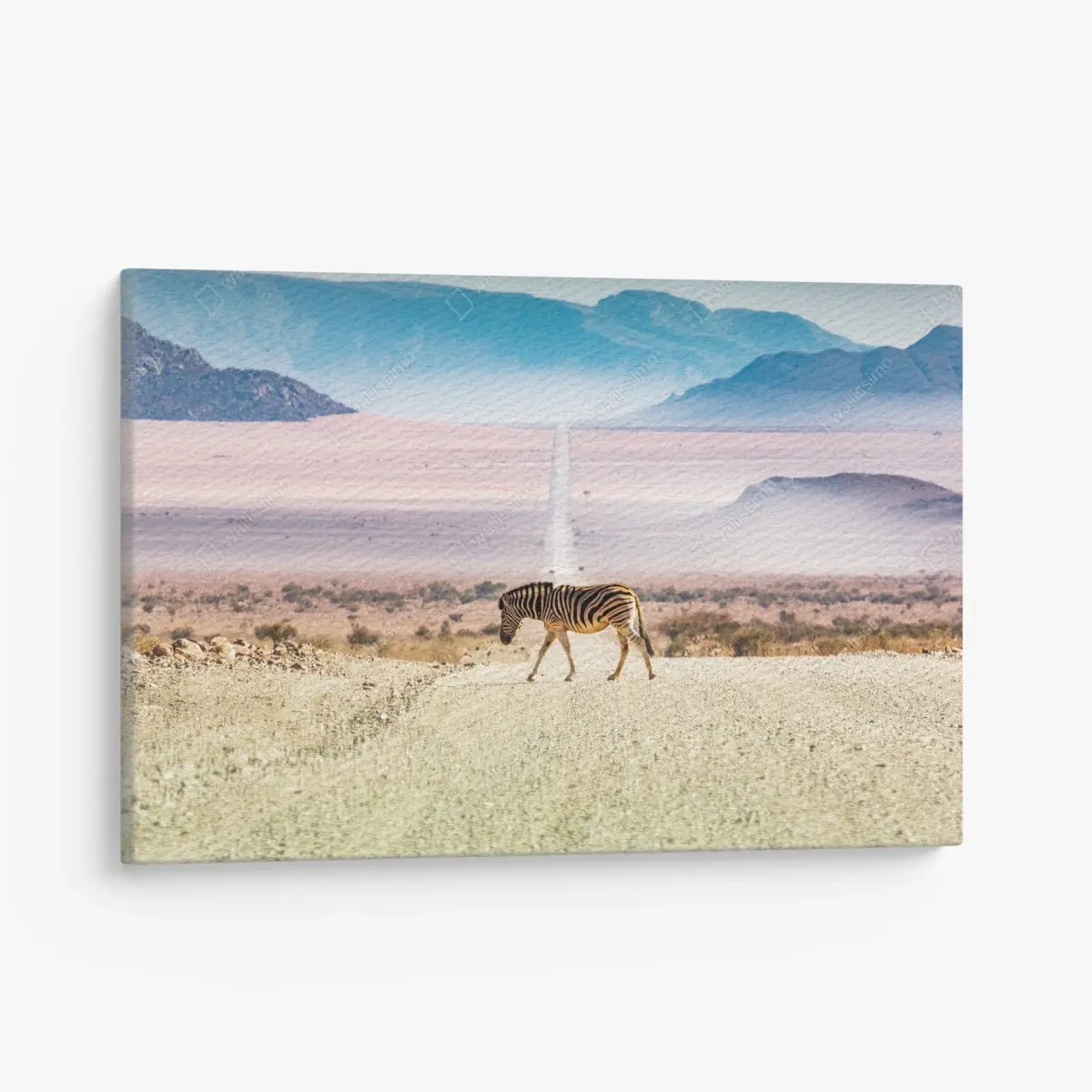 Canvas print zebra crossing the desert road • Wallissimo®