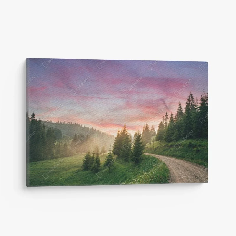 Canvas print misty sunset in the pine forest