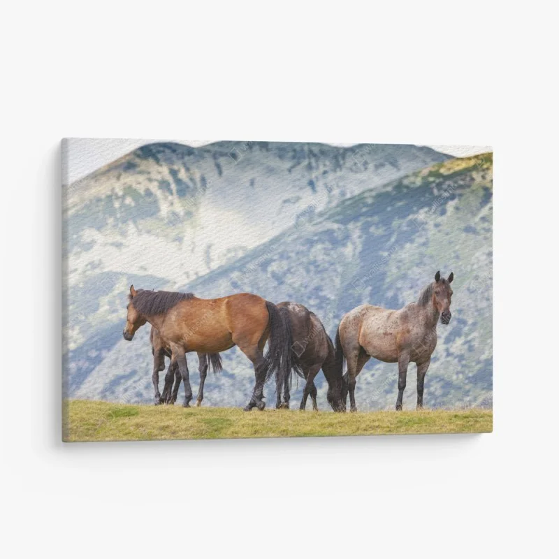 Canvas print horses on alpine hillside
