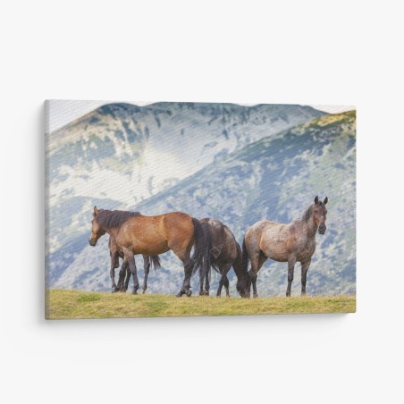 Canvas print horses on alpine hillside • Wallissimo®