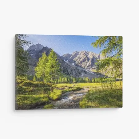 Canvas print alpine mountain meadow with stream • Wallissimo®
