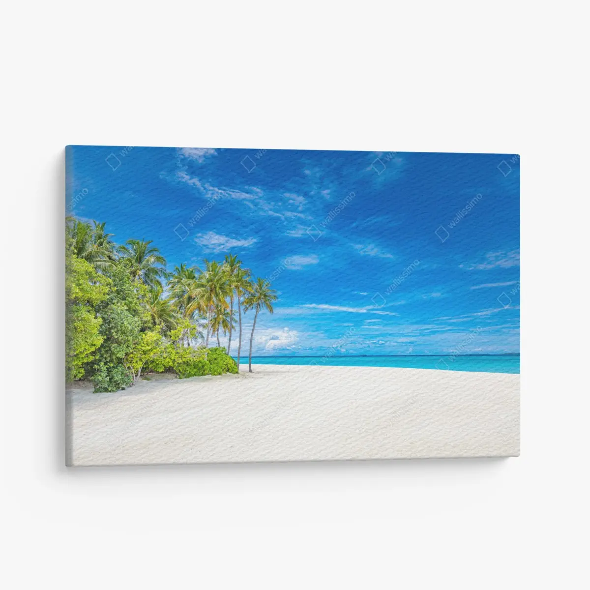 Canvas print tropical beach with palm trees • Wallissimo®