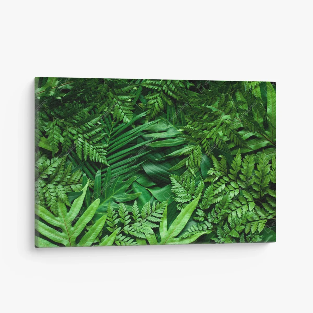 Canvas print lush green foliage pattern ⁕ Wallissimo® Canvas print lush green foliage pattern ⁕ Wallissimo®