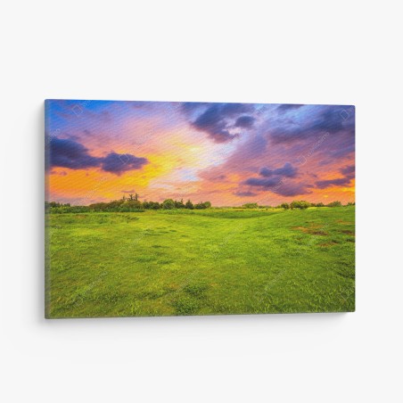 Canvas print sunset over green meadow • Wallissimo®