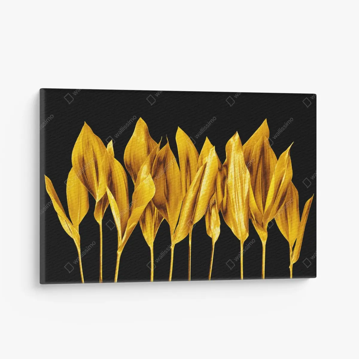 Canvas print golden leaves on black background • Wallissimo®