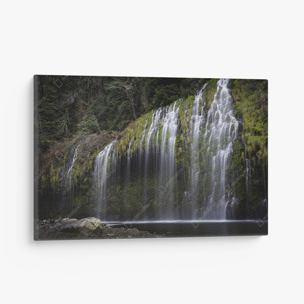 Canvas print mossy waterfall in forest • Wallissimo®