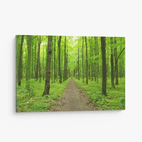 Canvas print serene green forest path • Wallissimo®