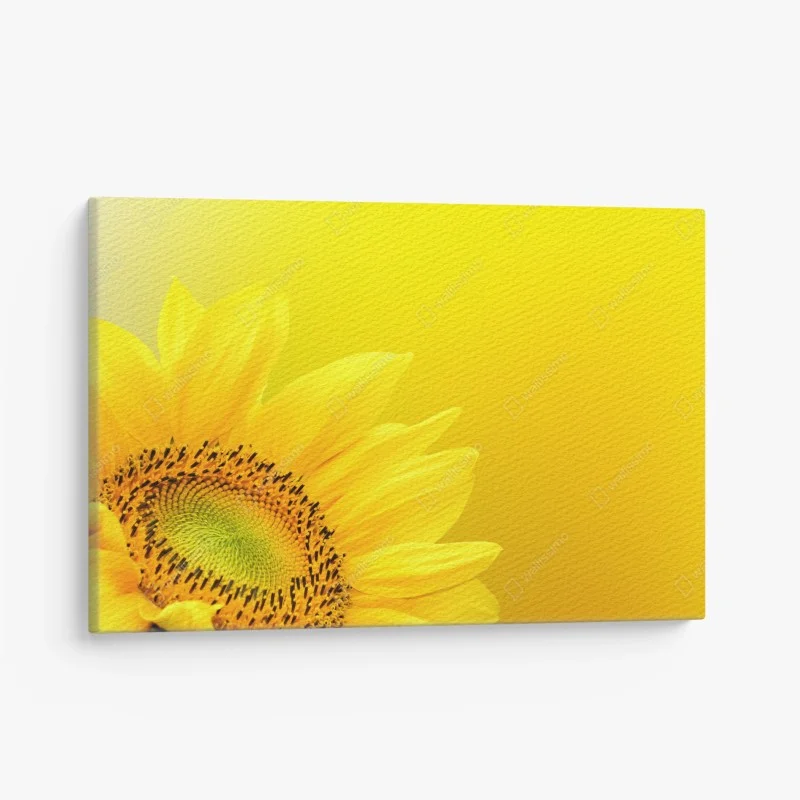 Canvas print vibrant sunflower close-up on yellow background